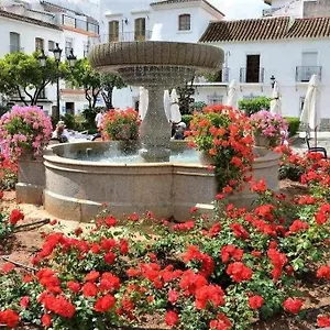 Xv Morales & Arnal Estepona